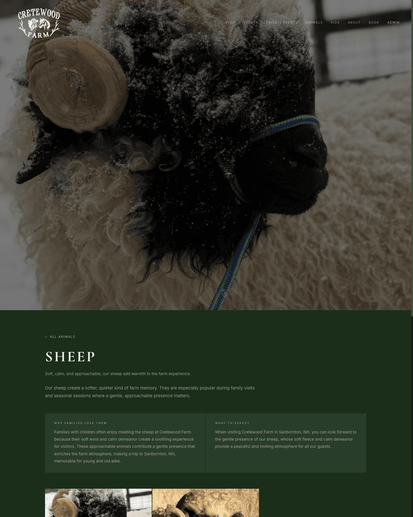 Cretewood sheep type page