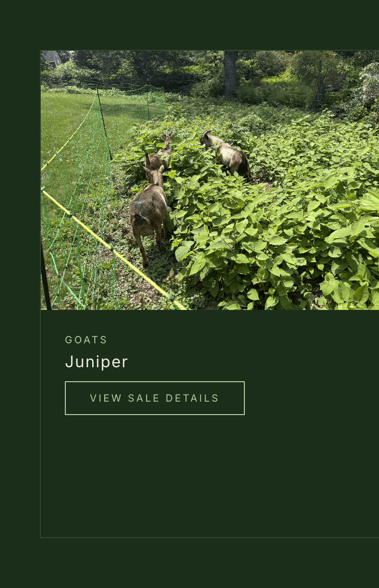 Cretewood animals for sale listing without people visible